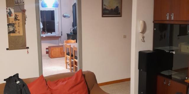 IMG-20231004-WA0008 